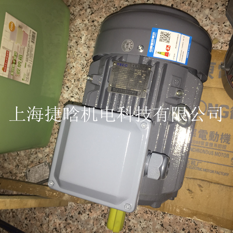 TECO東元高效能37KW電機(jī) AEEF三相標(biāo)準(zhǔn)新F系列