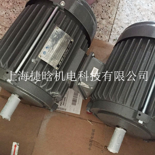 QIN WEI ELECTRIC CORP 立式馬達AEUL MCV2三相電機