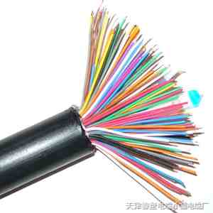 屏蔽加工5x2x1.5 NH-DJYVP22計(jì)算機(jī)電纜