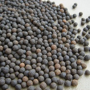 衡陽市廠家直銷生物陶粒濾料