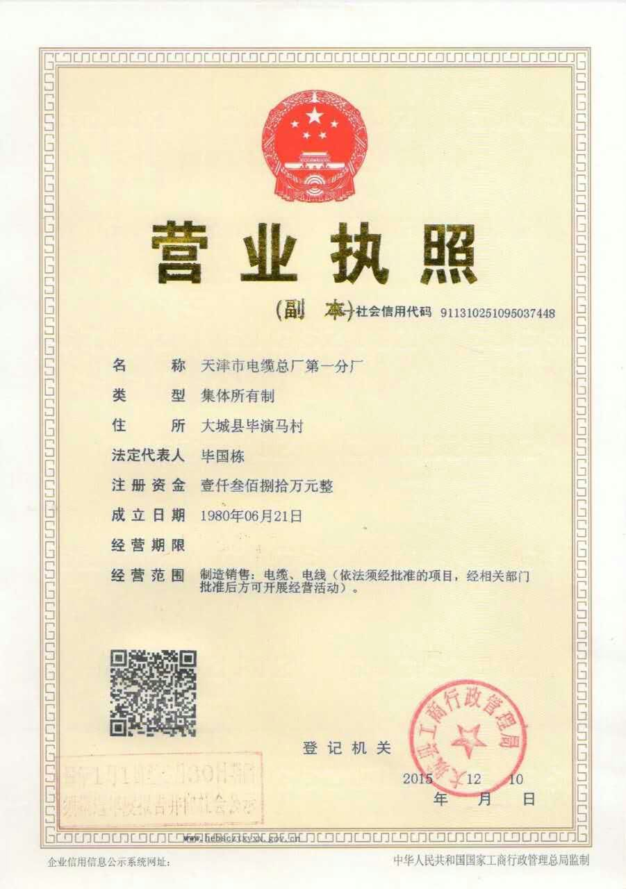 廠家直銷-光伏接地線4平方價格