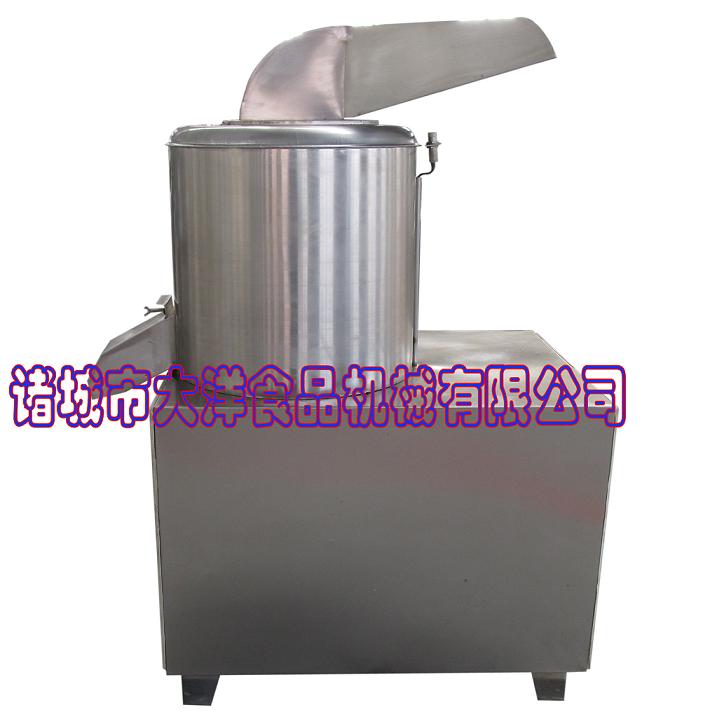火龍果打漿機(jī)，應(yīng)用廣泛大洋牌果漿機(jī)