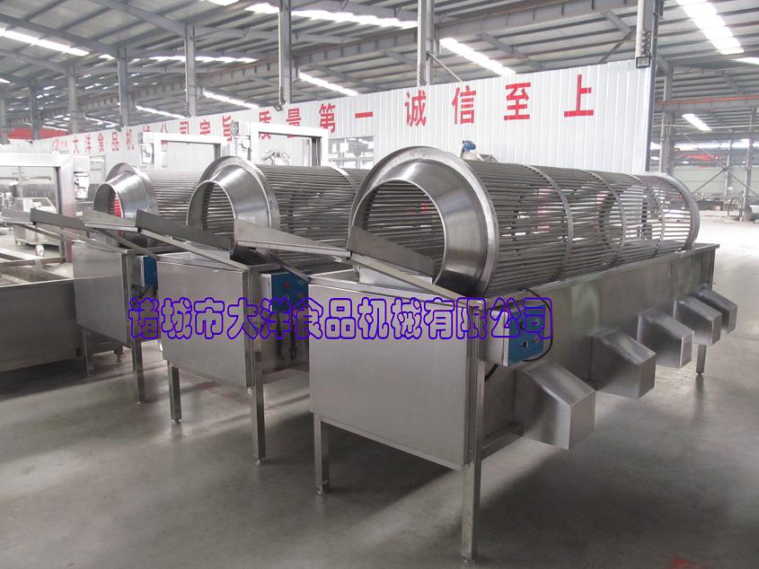 自動(dòng)柑橘分級機(jī)，大洋牌果蔬分選機(jī)產(chǎn)量高