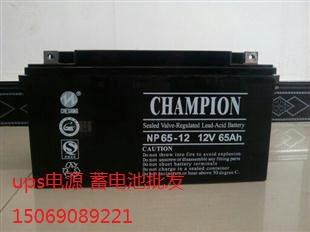 NP100-12/12V100AH/UPS\EPSSo(h)늳