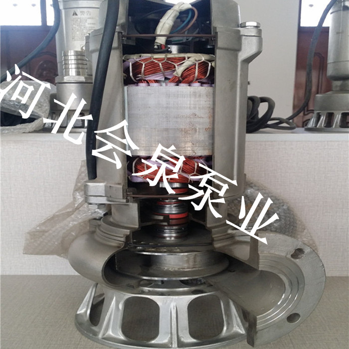 貴陽會(huì)泉《潛水泵不鋼材質(zhì)》250WQ500-10-22