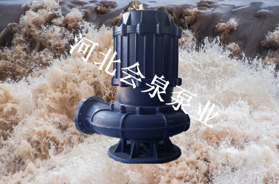 新鄉(xiāng)會泉《40米揚程水泵》100WQ60-15-4