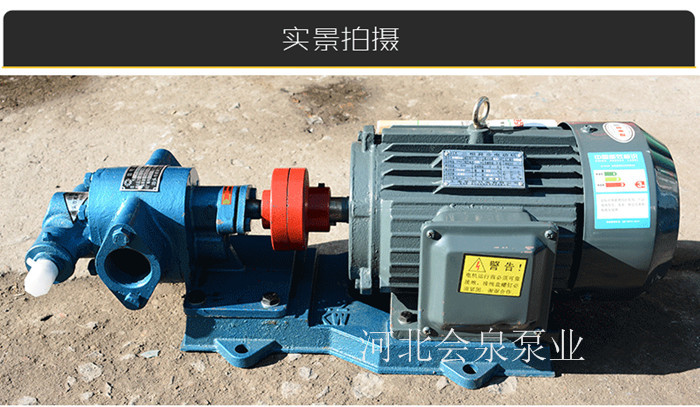 會(huì)泉大流量齒輪泵KCB-1200【熱銷】