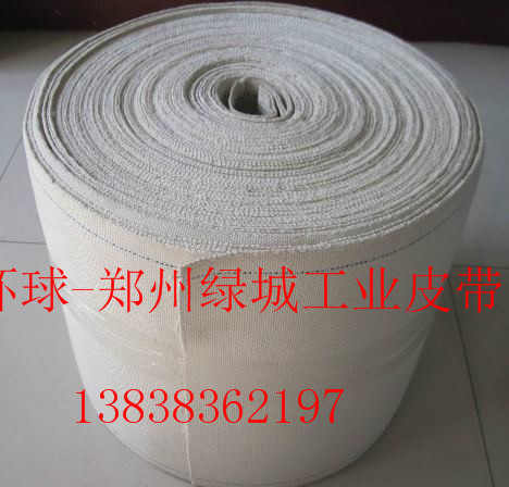周口食品類純棉帆布帶    環(huán)形帆布帶   無縫帆布帶