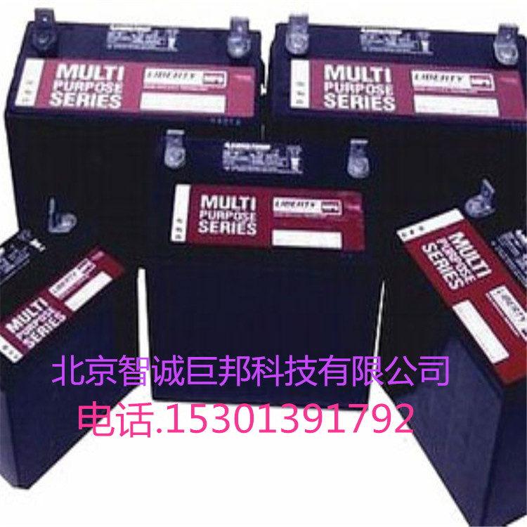 供應(yīng)美國(guó)大力神MPS12-50 12V50AH美國(guó)原裝進(jìn)口電瓶