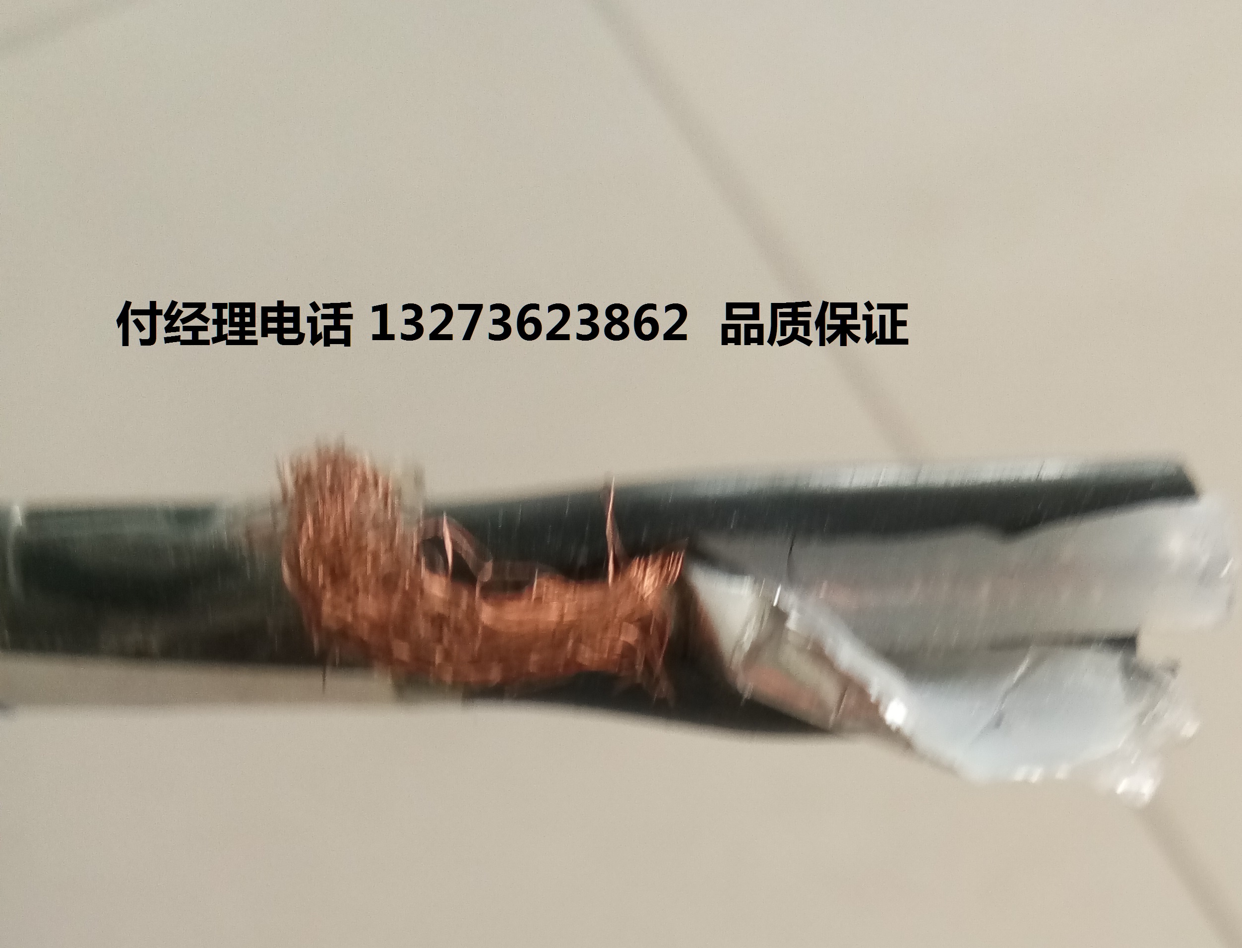 (bio) ӋC|   DJYPVPR  DJVYP  6*2*1.