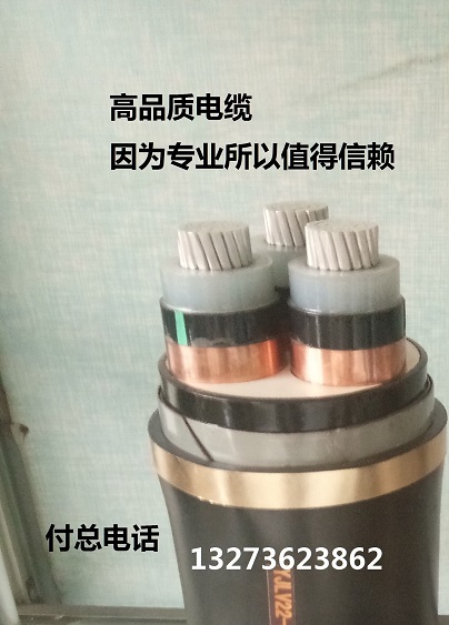 低煙無鹵電纜 WDZN-YJV    銷售總部