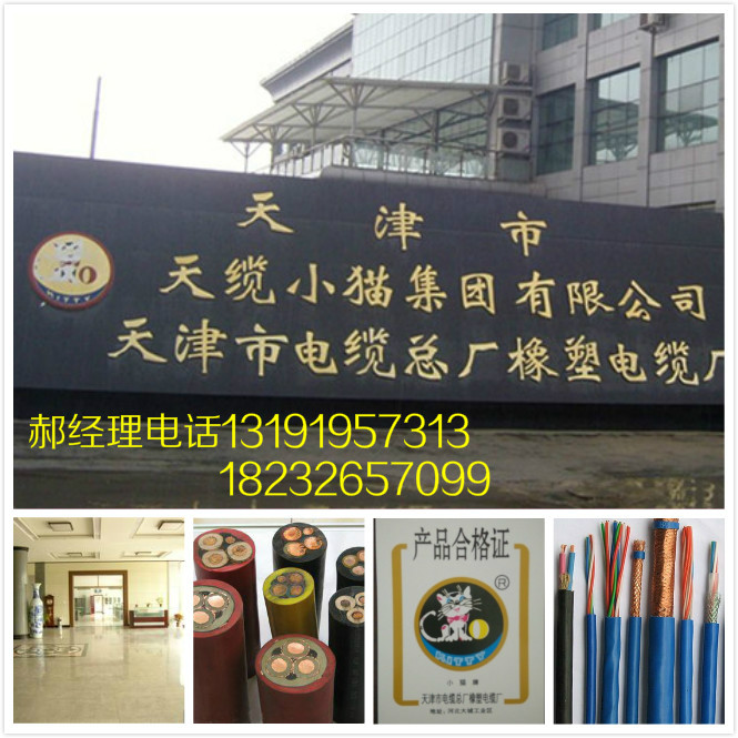 軟護套移動型電纜YVFR5*25價格請咨詢郝經(jīng)理