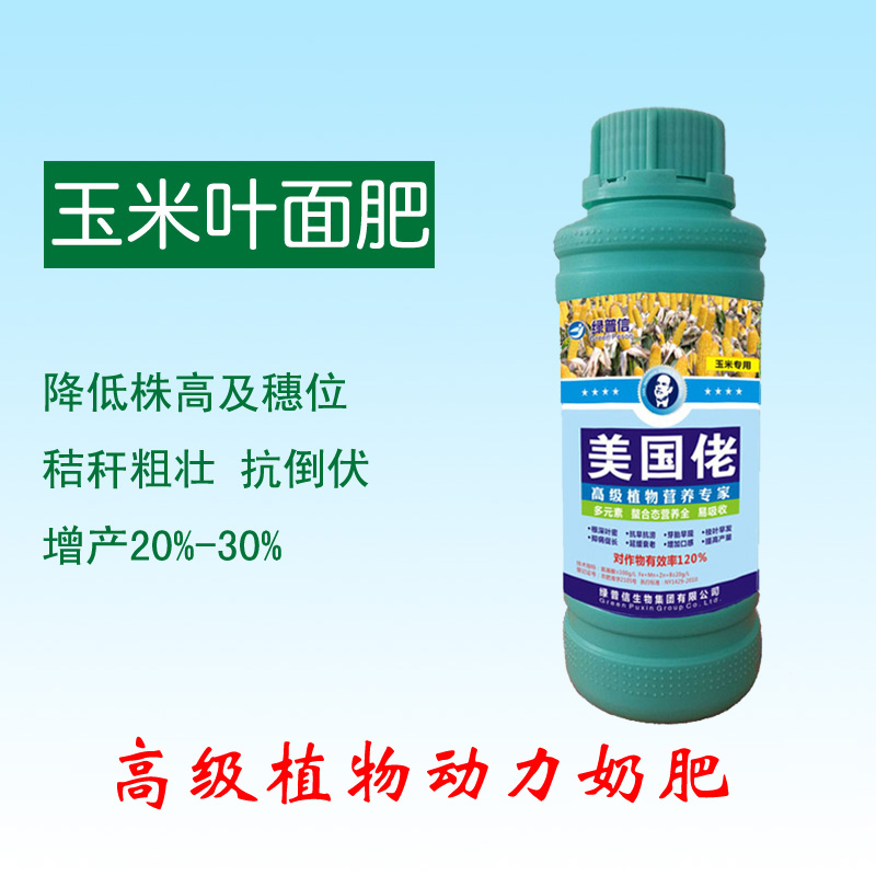 玉米馬上就要秋收，這些病蟲害不得不防!