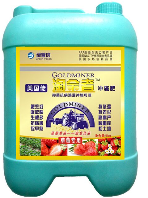 草莓定植成活率要高，這樣來做!