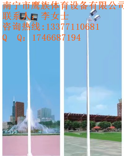 大化縣新農(nóng)村6米籃球場(chǎng)燈桿定做價(jià)格公道生產(chǎn)商
