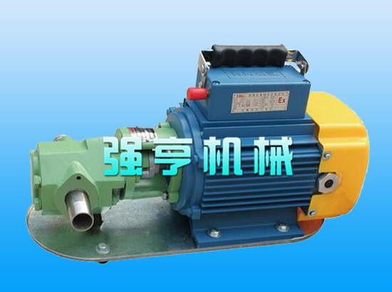 WCB不銹鋼微型手提式齒輪泵攜帶方便，操作簡單