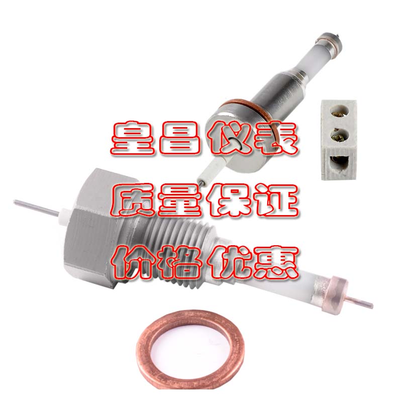 鍋爐測量筒水位計電極DJM2015-97天門