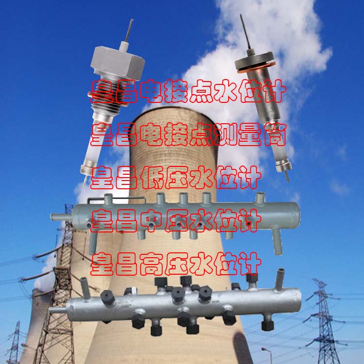 水位電極不銹鋼電極式304DJY1712-97衢州