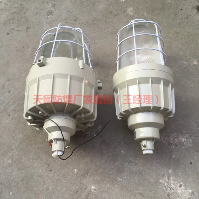 BCD58-L100W隔爆型防爆燈 IP65 EXDIICT4