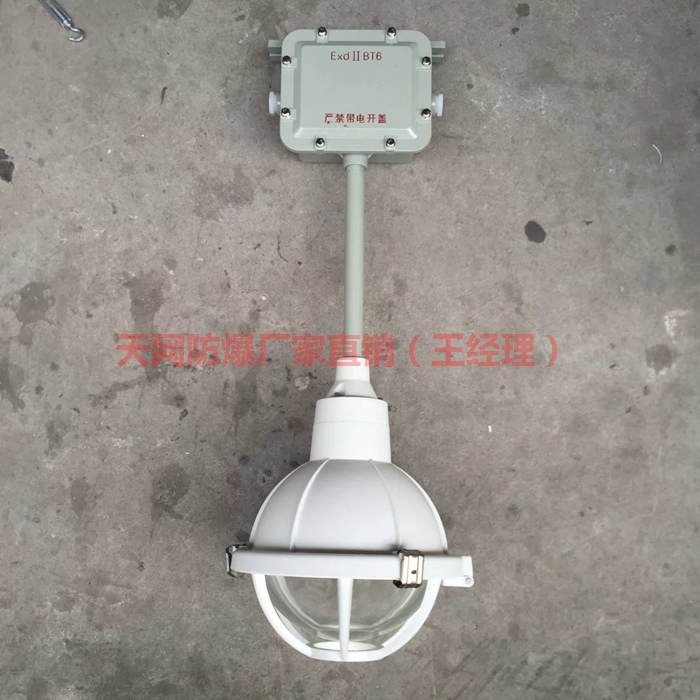 防水防塵彎燈FAD-S-L100B1 100W 220V防水防塵燈