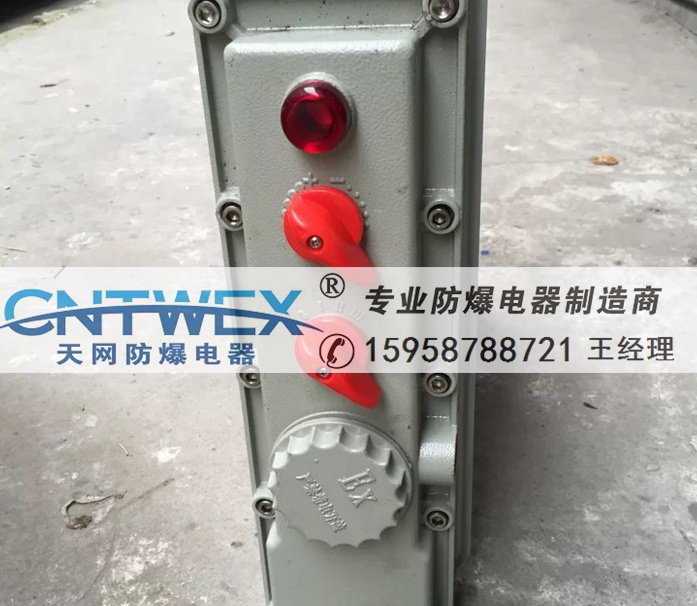 BYT/BDR51-9/1.5KW防爆熱油汀9片 1500w廠家