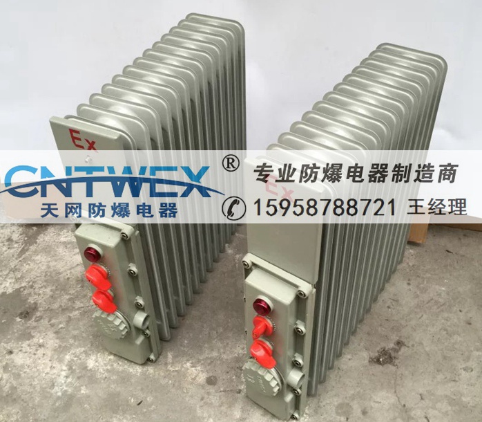 防爆電熱油汀取暖器BDR-1.5/2KW化工廠油罐旁專(zhuān)用高能加熱器