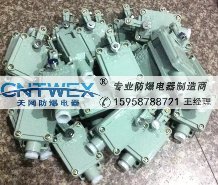 防爆行程開(kāi)關(guān)DLXK-15B 隔離限位開(kāi)關(guān) 單搖臂式深圳