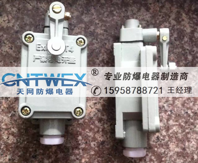 單搖臂式防爆行程開關(guān)LX5-6D BZX51-6D限位開關(guān)IIC級