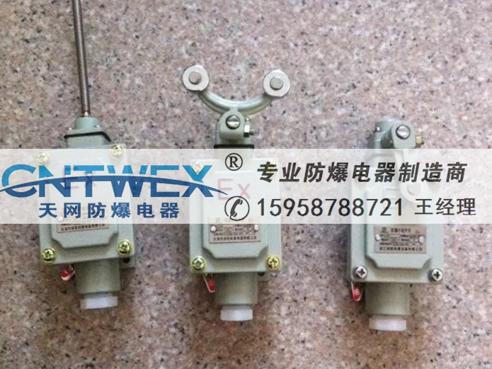 DLXK-15N防爆行程開(kāi)關(guān)限位開(kāi)關(guān)撓性觸頭式LX5-211