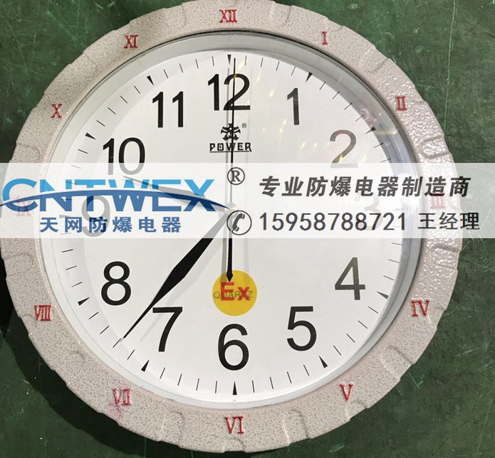 濮陽(yáng)廠家正品 防爆石英鐘 防爆指針表 防爆電子鐘