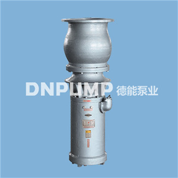 簡(jiǎn)易軸流泵概述  簡(jiǎn)易軸流泵型號(hào)意義  簡(jiǎn)易軸流泵適用條件