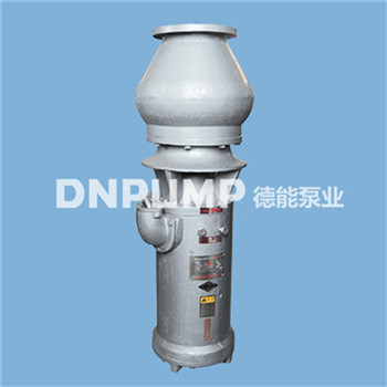 簡(jiǎn)易軸流泵安裝  簡(jiǎn)易軸流泵參數(shù)  德能簡(jiǎn)易軸流泵