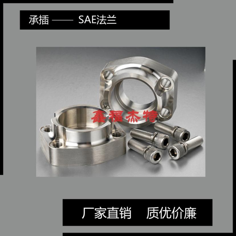 碳鋼SAE24°內(nèi)螺紋法蘭AFM