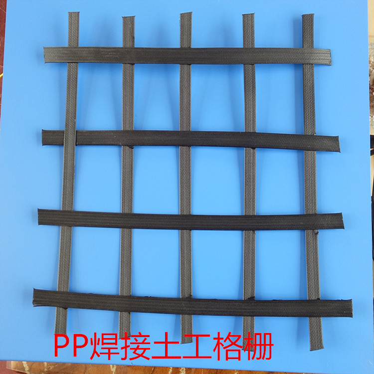 pp