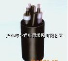 動力電纜VVR3×10+1×6