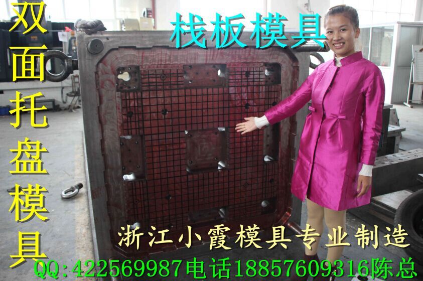 臺州黃巖注塑模具廠1408網(wǎng)狀平板注射模具多少錢