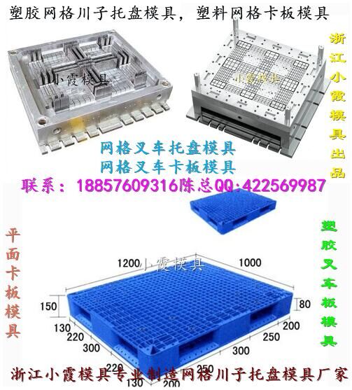 中國生產(chǎn)注射模具公司2.5噸網(wǎng)狀平板注射模具價格