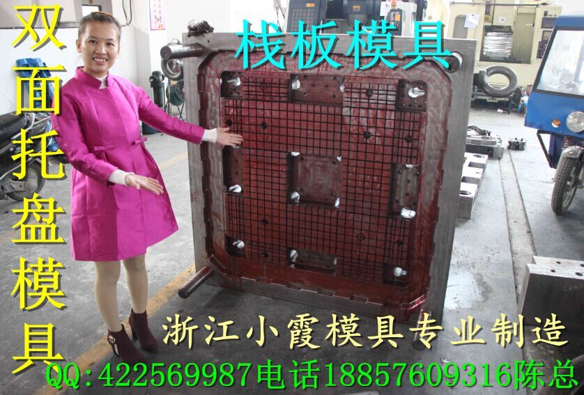 尋找黃巖專做塑料模具工廠兩面進叉周轉(zhuǎn)塑料卡板模具工廠