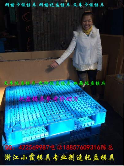 專業(yè)制造臺州專做注塑模具1408網(wǎng)狀塑料卡板模具加工