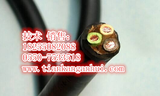 ZR-DJFP2VP2阻燃高溫計算機電纜銷售