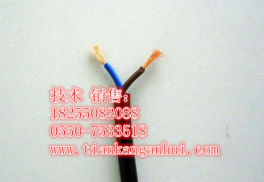 GVV2，GV22VVR耐高溫電力電纜