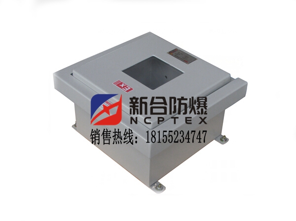 船舶專用防爆配電箱精美壁掛式廠家專業(yè)生產(chǎn)定制價格便宜