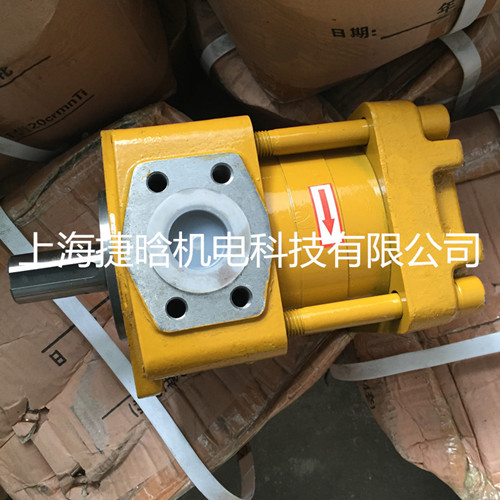 NT3-C50F直齒共軛內(nèi)嚙合低壓齒輪泵 質(zhì)量好