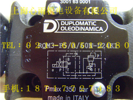 RQM3-P5/A/60N-A110K1R늴y