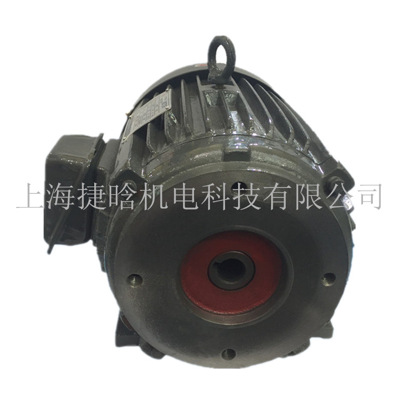 YTY180L-4-22KW高效液壓專用內(nèi)軸油泵電機(jī)
