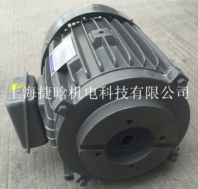 YTY132M-4液壓專用電機7.5KW高效油泵馬達(dá)