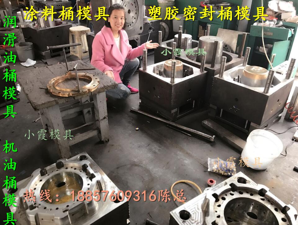 訂做10KG自動脫模潤滑油桶模具公司