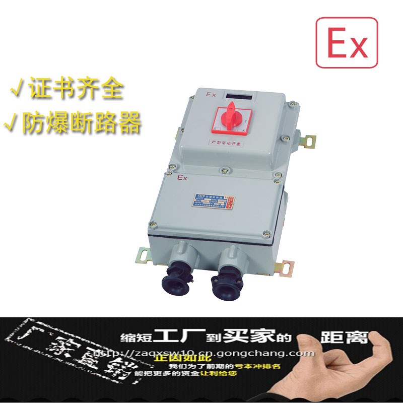 陜西西安那里有防爆開(kāi)關(guān)BDZ-10A/20A/32A/40A/63A 防爆斷路器