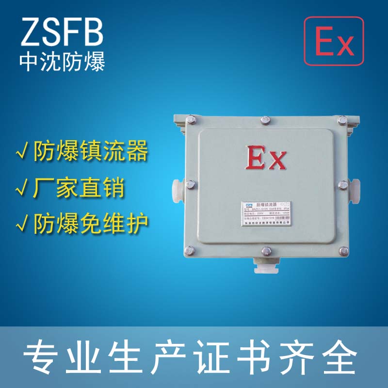 商洛那里有防爆鎮(zhèn)流器baz58 金屬鹵化燈鎮(zhèn)流器 防爆熒光燈鎮(zhèn)流器