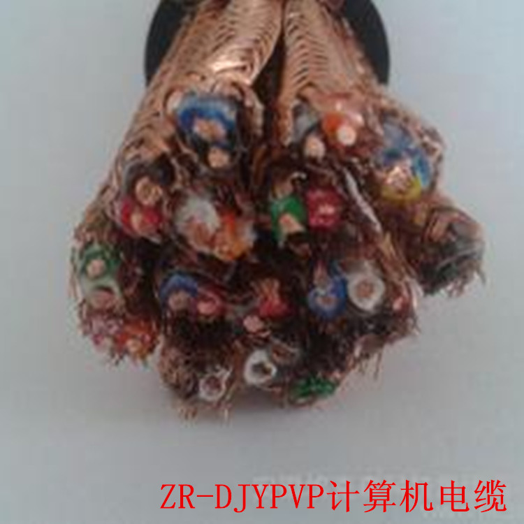 IA-DJYVP本安計算機電纜